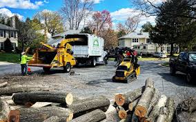 Best Firewood Processing and Delivery  in New Bern, NC